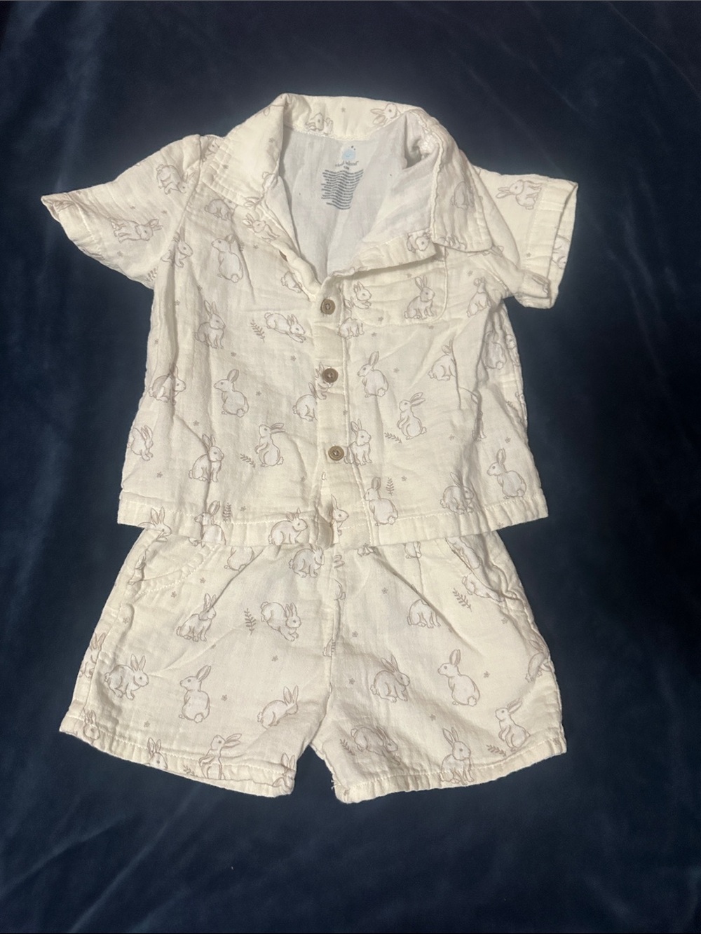 Cream Bunny-Print Short Set for Kids